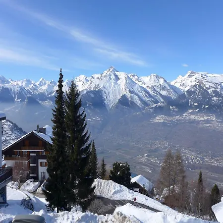 Cozy In Valley With Patio Daire Veysonnaz